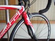 画像3: PINARELLO FP1 ULTEGRA（ピナレロ エフピーワン アルテグラ） (3)