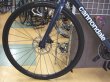 画像6: Cannondale CAAD13 Disc Raphaチームレプリカ（キャノンデール キャドサーティーン ディスク） (6)